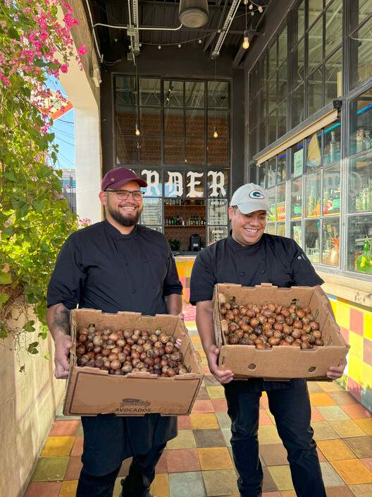 我们能用食物建造吗？Matter Matters Lab 的循环实验 - 10 的图像 18