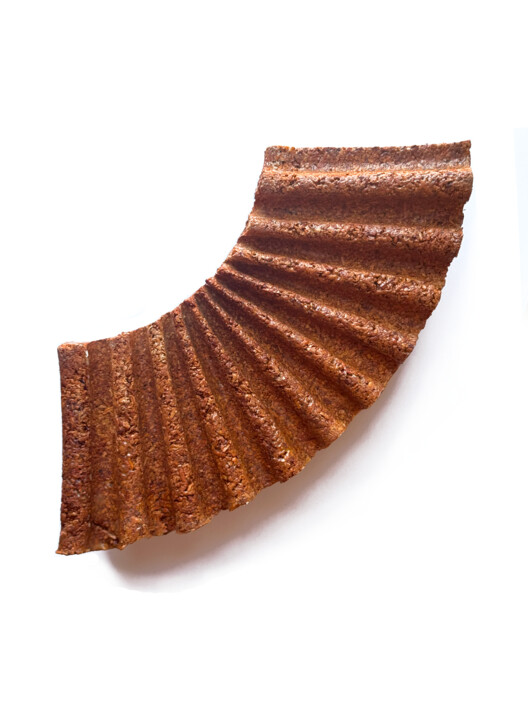 我们能用食物建造吗？Matter Matters Lab 的循环实验 - 17 的图像 18