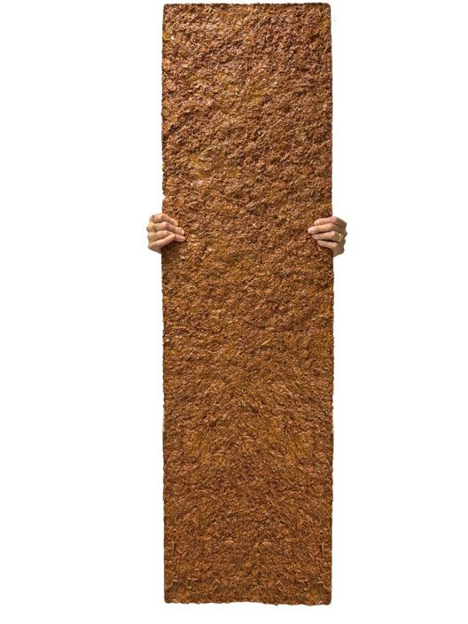 我们能用食物建造吗？Matter Matters Lab 的循环实验 - 2 的图像 18