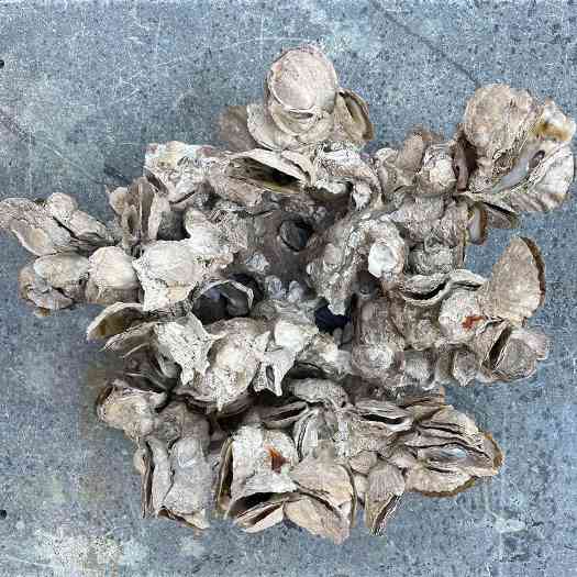 跨学科设计：南加州建筑学院（SCI-Arc）毕业生融合建筑与艺术 - 8 的图像 13