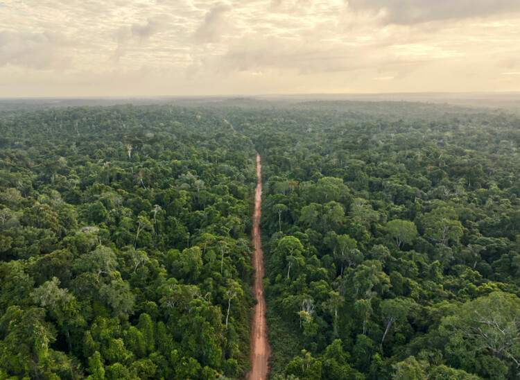 从马德里到洛杉矶，聚焦气候、政策与城市复苏的最新进展 - 3 的图像 7