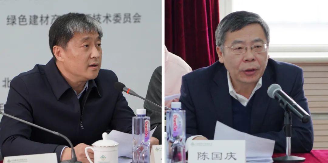 2023年绿色建材下乡深入推进 七大举措助力绿色消费升级(图3)