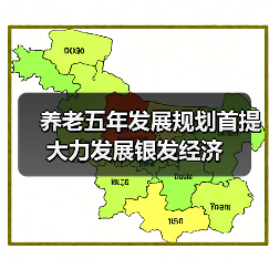 养老五年发展规划首提大力发展银发经济(图4) 养老五年发展规划首提大力发展银发经济(图4)