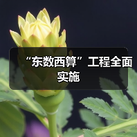 “东数西算”工程全面实施(图1) “东数西算”工程全面实施(图1)