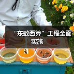 “东数西算”工程全面实施(图3) “东数西算”工程全面实施(图3)