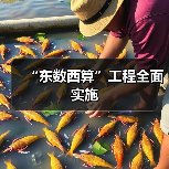 “东数西算”工程全面实施(图4) “东数西算”工程全面实施(图4)