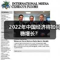 2022年中国经济将如何稳增长?(图1) 2022年中国经济将如何稳增长?(图1)