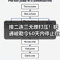 接二连三无理打压!联通被勒令60天内停止在美业务(图3) 接二连三无理打压!联通被勒令60天内停止在美业务(图3)