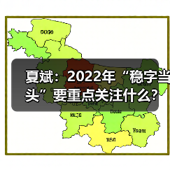 夏斌：2022年“稳字当头”要重点关注什么？（图3）