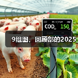 9组图，回顾部的2025（图1）