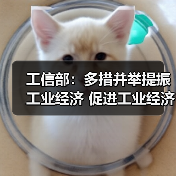 工信部：多措并举提振工业经济 促进工业经济运行在合理区间（图1）