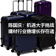陈国庆:机遇大于挑战 建材行业稳增长存在诸多积极因素(图3) 陈国庆:机遇大于挑战 建材行业稳增长存在诸多积极因素(图3)