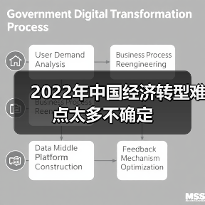 2022年中国经济转型难点太多不确定(图2) 2022年中国经济转型难点太多不确定(图2)