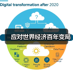 应对世界经济百年变局(图4) 应对世界经济百年变局(图4)