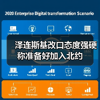 泽连斯基改口态度强硬 称准备好加入北约（图4）
