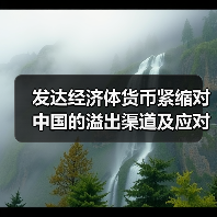 发达经济体货币紧缩对中国的溢出渠道及应对（图3）