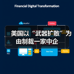 美国以“武器扩散”为由制裁一家中企（图1）
