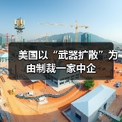 美国以“武器扩散”为由制裁一家中企（图4）