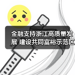 金融支持浙江高质量发展 建设共同富裕示范区（图2）