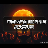 中国经济面临的外部挑战及其对策（图4）