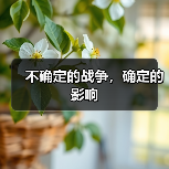 不确定的战争，确定的影响（图4）