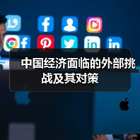 中国经济面临的外部挑战及其对策(图3) 中国经济面临的外部挑战及其对策(图3)