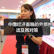 中国经济面临的外部挑战及其对策(图4) 中国经济面临的外部挑战及其对策(图4)