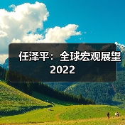 任泽平:全球宏观展望2022(图2) 任泽平:全球宏观展望2022(图2)