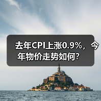 去年CPI上涨0.9%,今年物价走势如何?(图3) 去年CPI上涨0.9%,今年物价走势如何?(图3)