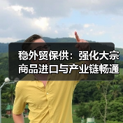 稳外贸保供:强化大宗商品进口与产业链畅通(图4) 稳外贸保供:强化大宗商品进口与产业链畅通(图4)