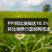 PPI同比涨幅达10.3% 环比微降凸显结构性波动(图3) PPI同比涨幅达10.3% 环比微降凸显结构性波动(图3)