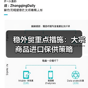 稳外贸重点措施：大宗商品进口保供策略（图4）