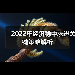 2022年经济稳中求进关键策略解析(图2) 2022年经济稳中求进关键策略解析(图2)