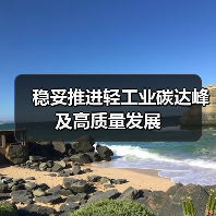 稳妥推进轻工业碳达峰及高质量发展(图2) 稳妥推进轻工业碳达峰及高质量发展(图2)