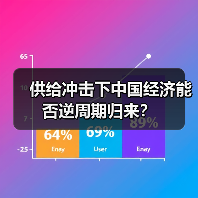 供给冲击下中国经济能否逆周期归来?(图2) 供给冲击下中国经济能否逆周期归来?(图2)