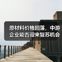 原材料价格回落,中游企业能否迎来复苏机会?(图1) 原材料价格回落,中游企业能否迎来复苏机会?(图1)