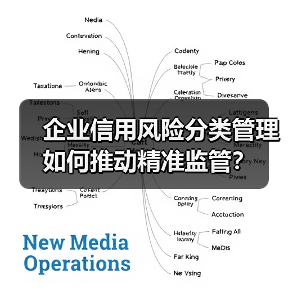 企业信用风险分类管理如何推动精准监管?(图3) 企业信用风险分类管理如何推动精准监管?(图3)