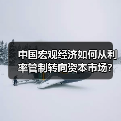 中国宏观经济如何从利率管制转向资本市场?历史演变与转型路径(图2) 中国宏观经济如何从利率管制转向资本市场?历史演变与转型路径(图2)