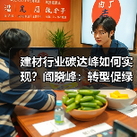 建材行业碳达峰如何实现?阎晓峰:转型促绿色发展(图4) 建材行业碳达峰如何实现?阎晓峰:转型促绿色发展(图4)