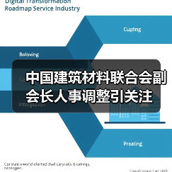 中国建筑材料联合会副会长人事调整引关注（图4）