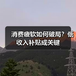 消费疲软如何破局？低收入补贴成关键（图2）