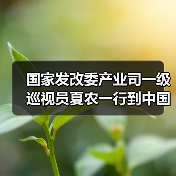 国家发改委产业司一级巡视员夏农一行到中国建筑材料联合会调研指导(图1) 国家发改委产业司一级巡视员夏农一行到中国建筑材料联合会调研指导(图1)