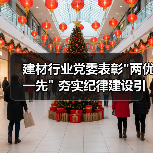 建材行业党委表彰 建材行业党委表彰