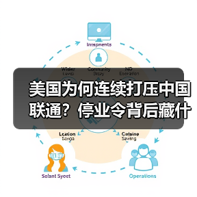 美国为何连续打压中国联通？停业令背后藏什么玄机？（图4）