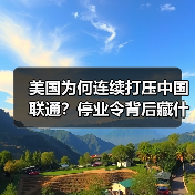 美国为何连续打压中国联通？停业令背后藏什么玄机？（图3）