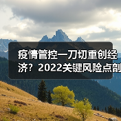疫情管控一刀切重创经济?2022关键风险点剖析(图2) 疫情管控一刀切重创经济?2022关键风险点剖析(图2)