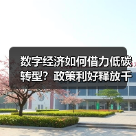 数字经济如何借力低碳转型？政策利好释放千亿机遇（图4）
