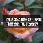 国企改革收官战:专业化整合如何打造世界一流企业(图1) 国企改革收官战:专业化整合如何打造世界一流企业(图1)