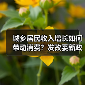 城乡居民收入增长如何带动消费？发改委新政详解（图3）