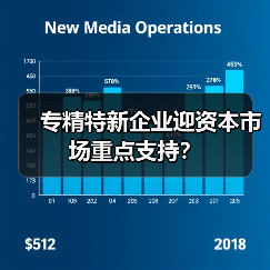 专精特新企业迎资本市场重点支持？（图1）